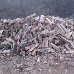 Firewood 