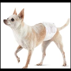 Male Dog Wrap 25 XS Disposable Diapers Leakproof Dog Belly Band