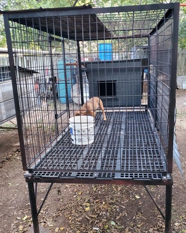 Dog Kennel