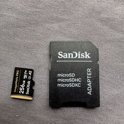 SanDisk 256GB micro SD card