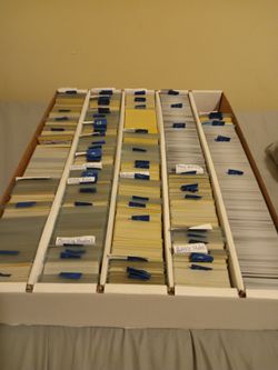 100 Pokemon Cards Common/ Uncommon No Energy