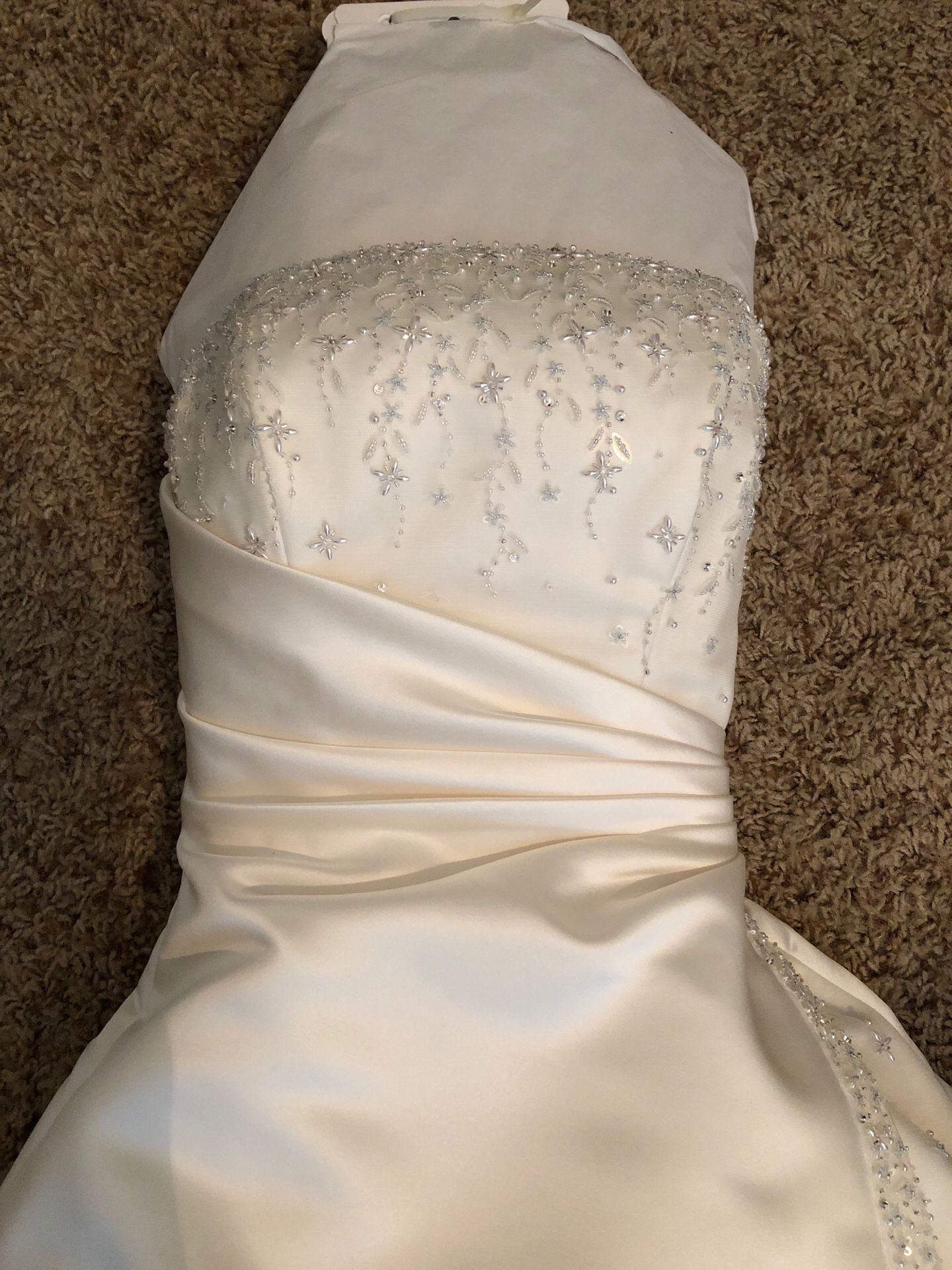Ivory Wedding dress and veil
