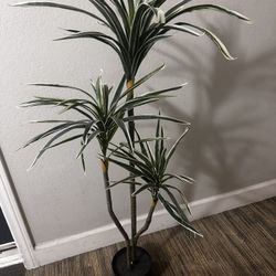 Beautiful Plastic Plant 