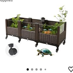 Turtle cage