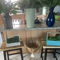 Home Decor Plants