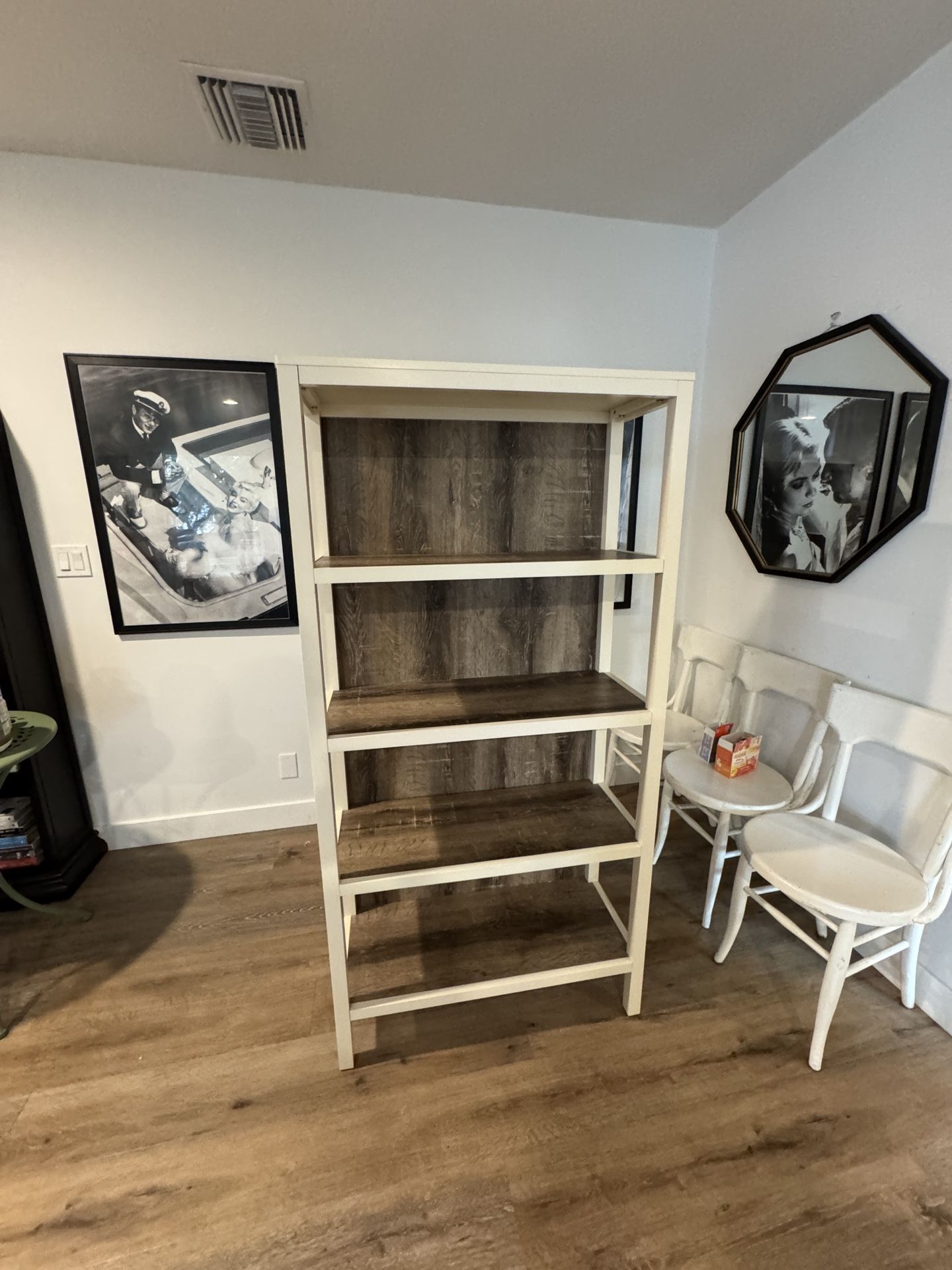 Large Case Shelves 