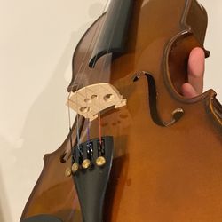 VN-350 Palatino Violin