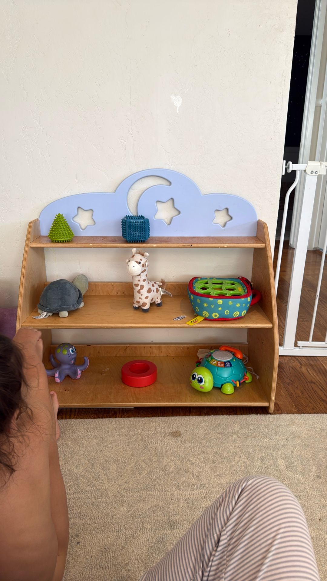 Book Shelf
