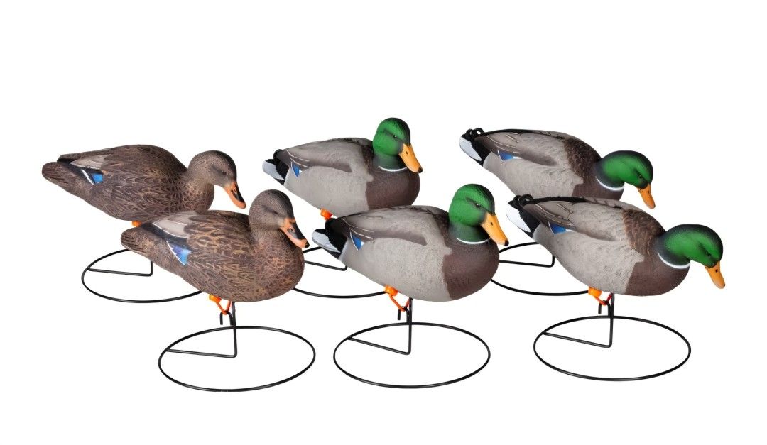 Mallard Decoys