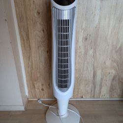 Fan 