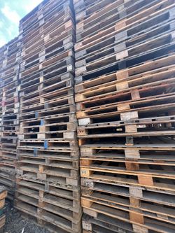 Pallets Oversized
