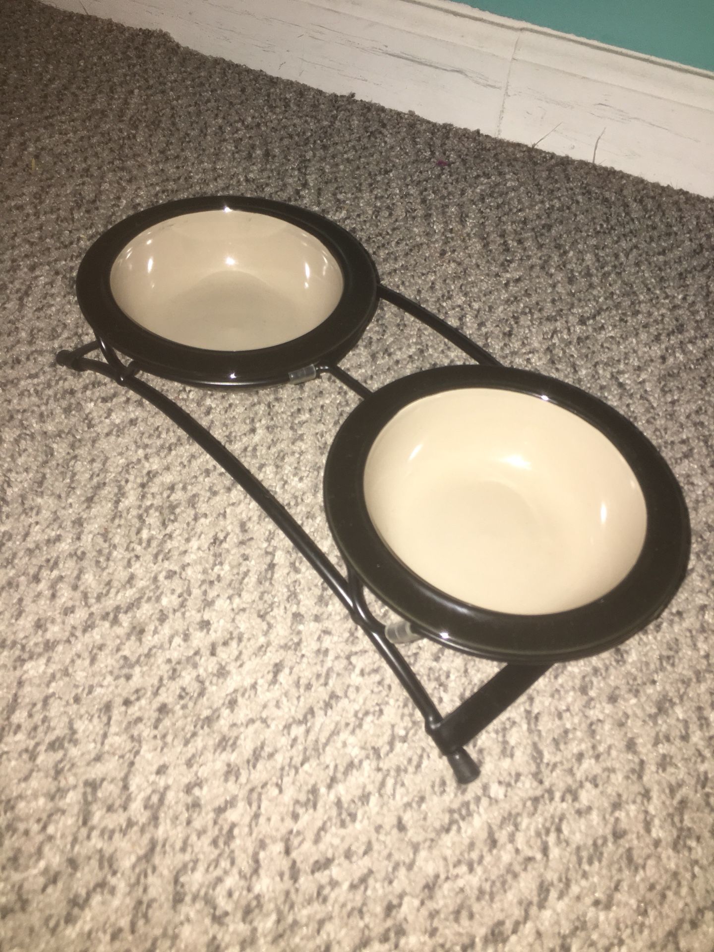 Basic cat water and food bowls