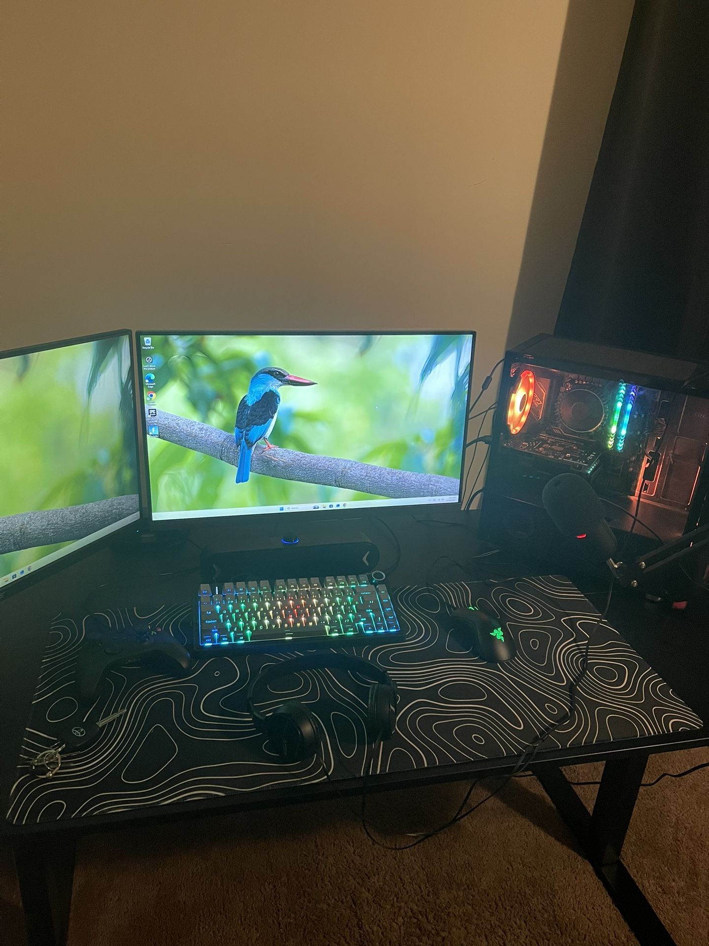 Gaming Setup