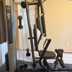 Golds Gym power series