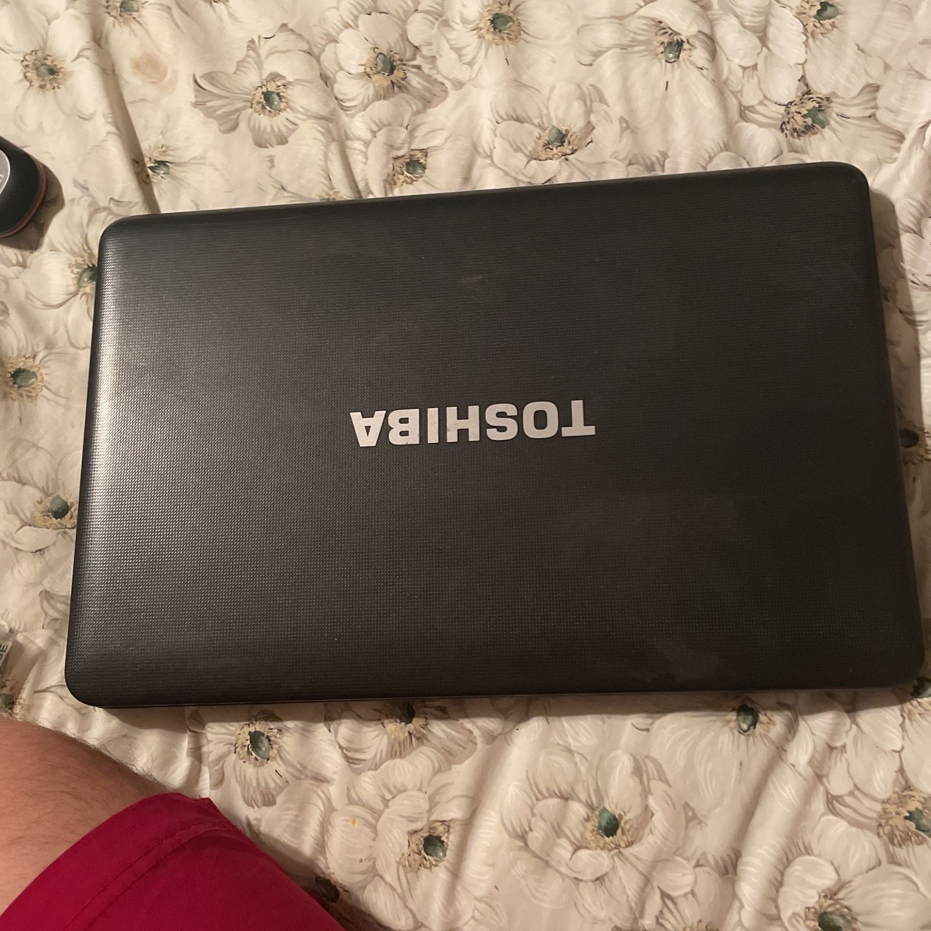 Toshiba Laptop 