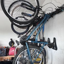 Bikes Women’s And Men’s 