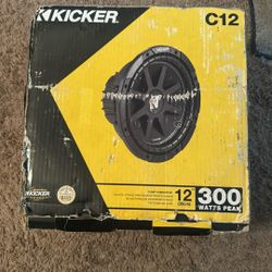 Kicker C12