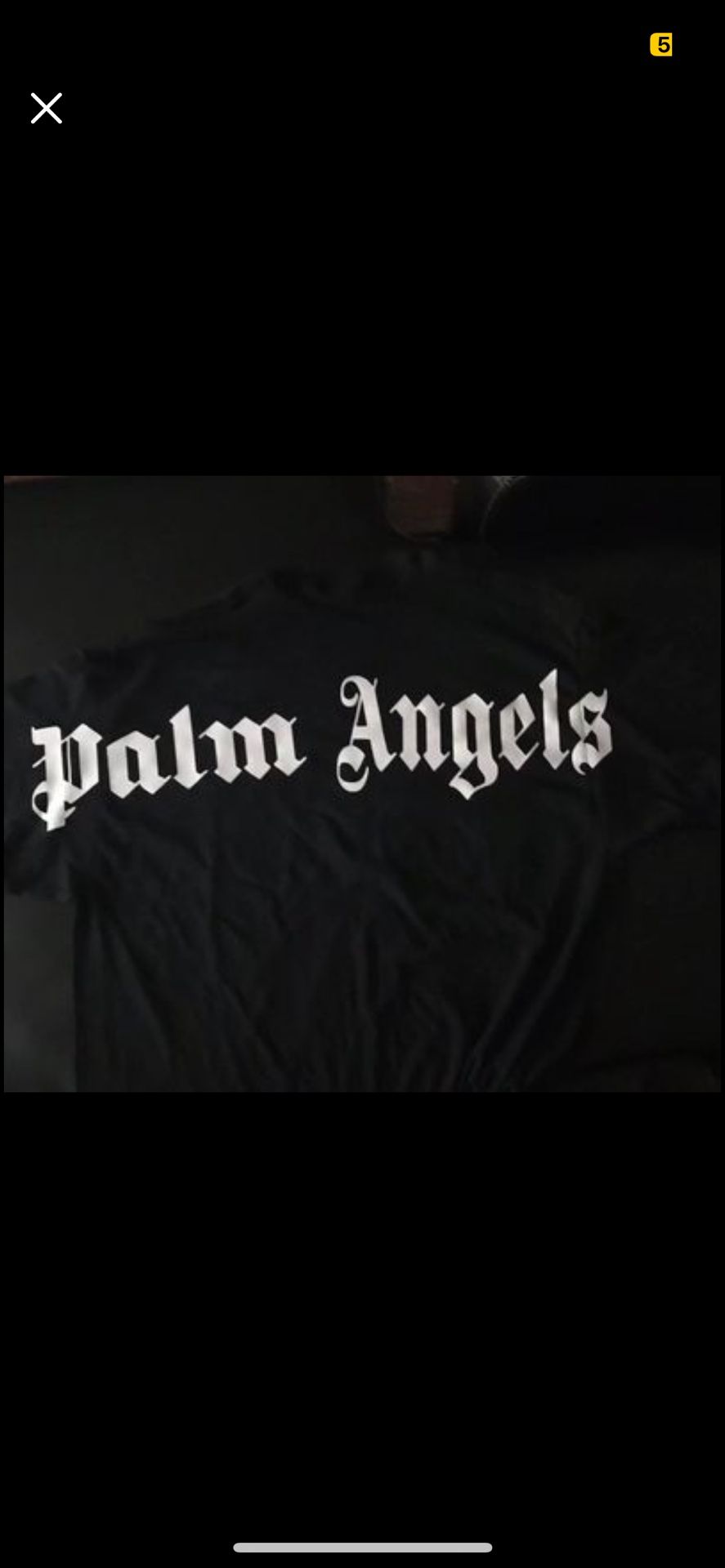 Palm Angels