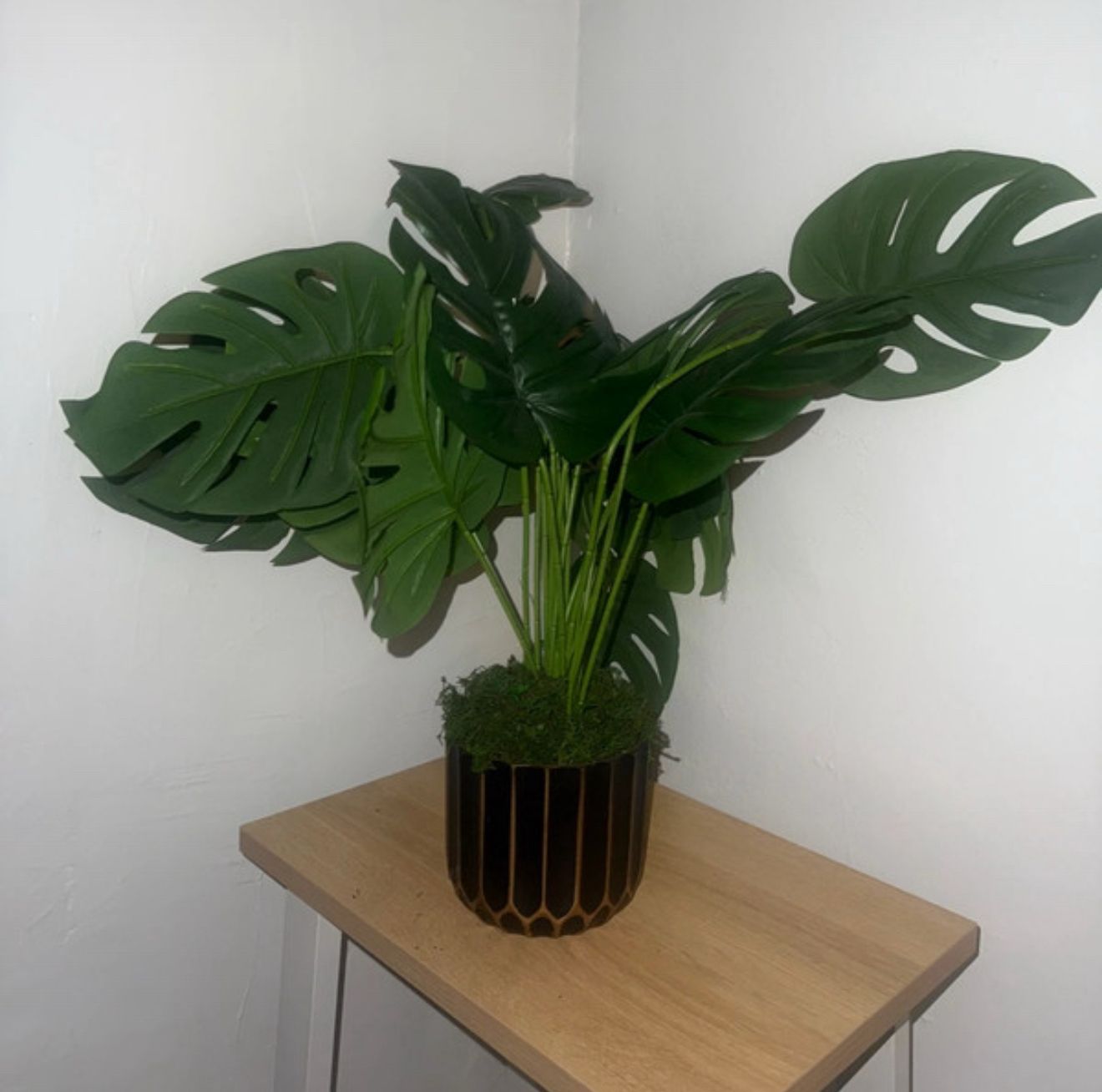 fake plant