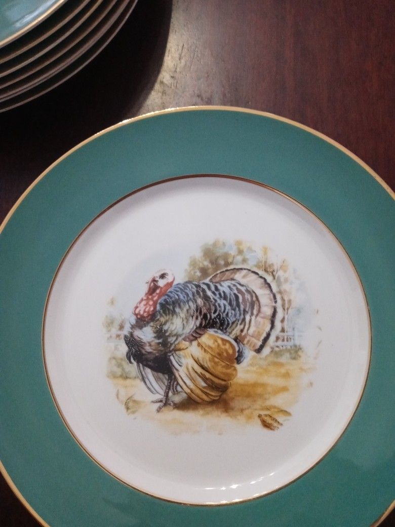Beautiful Vintage Turkey Plates From The 1950s