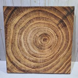 Canvas Wall Art Print Tree Stump Cross-Section 18x18