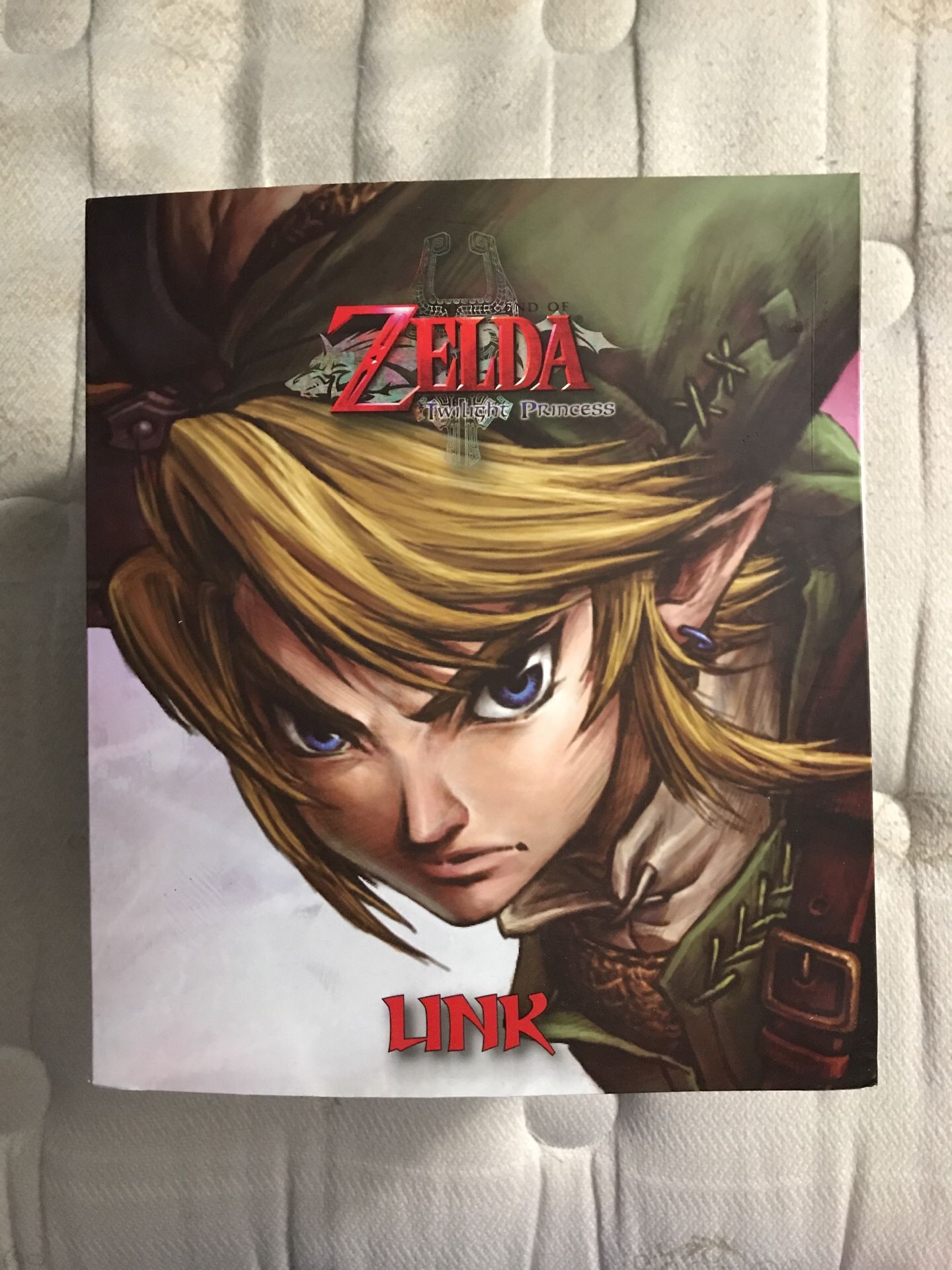 Legend of Zelda Twilight Princess Link Statue by Dark Horse