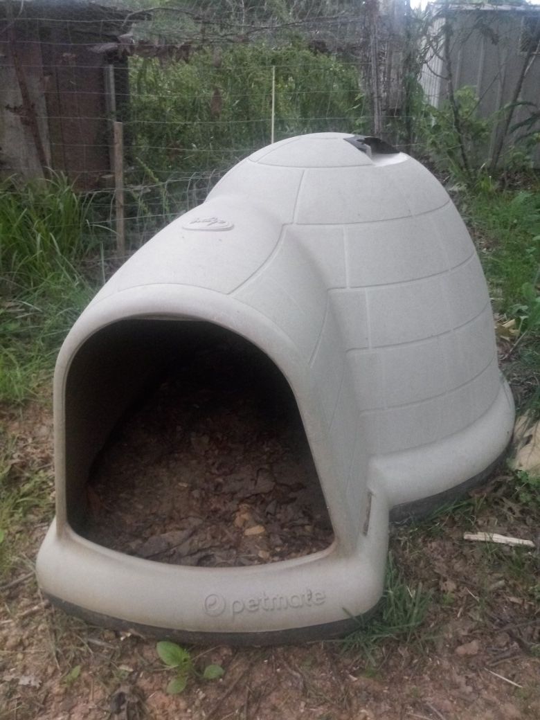 Igloo dog house