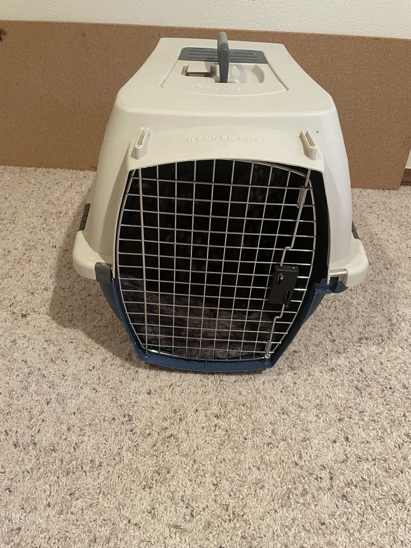pet carrier
