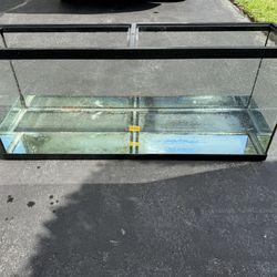 55 Gallon Fish Tank