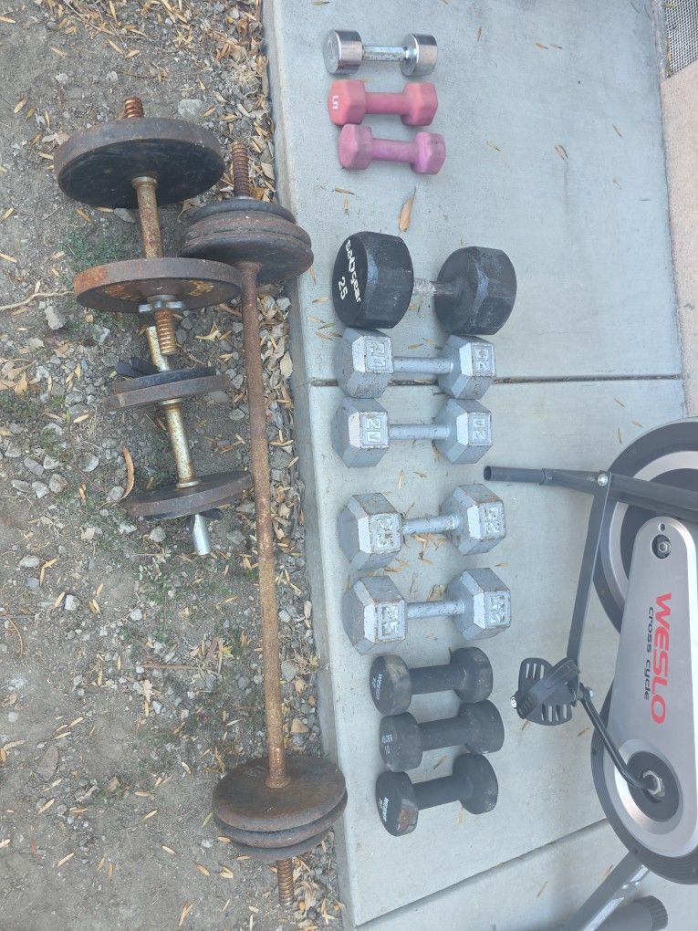 Weights   and weslo Cycle