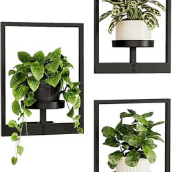 Bamworld Hanging Planters for Indoor Plants Wall Decor Living Room Plant Stand Indoor Wall Planters Plant Hanger Window Plant Shelves 3 Pack for Outdo