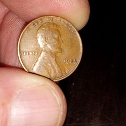 Wheat Cents 1929