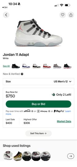 Jordan 11 Adapt size 12