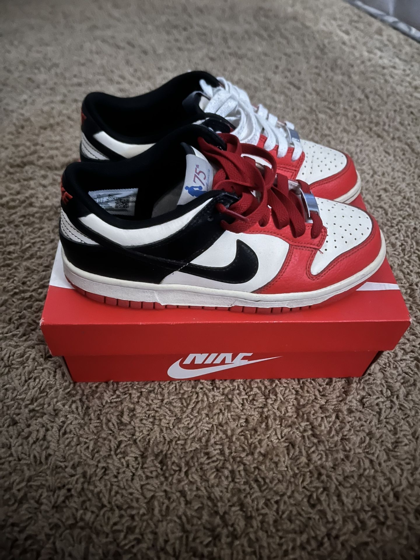 Nike Dunk Low (GS)