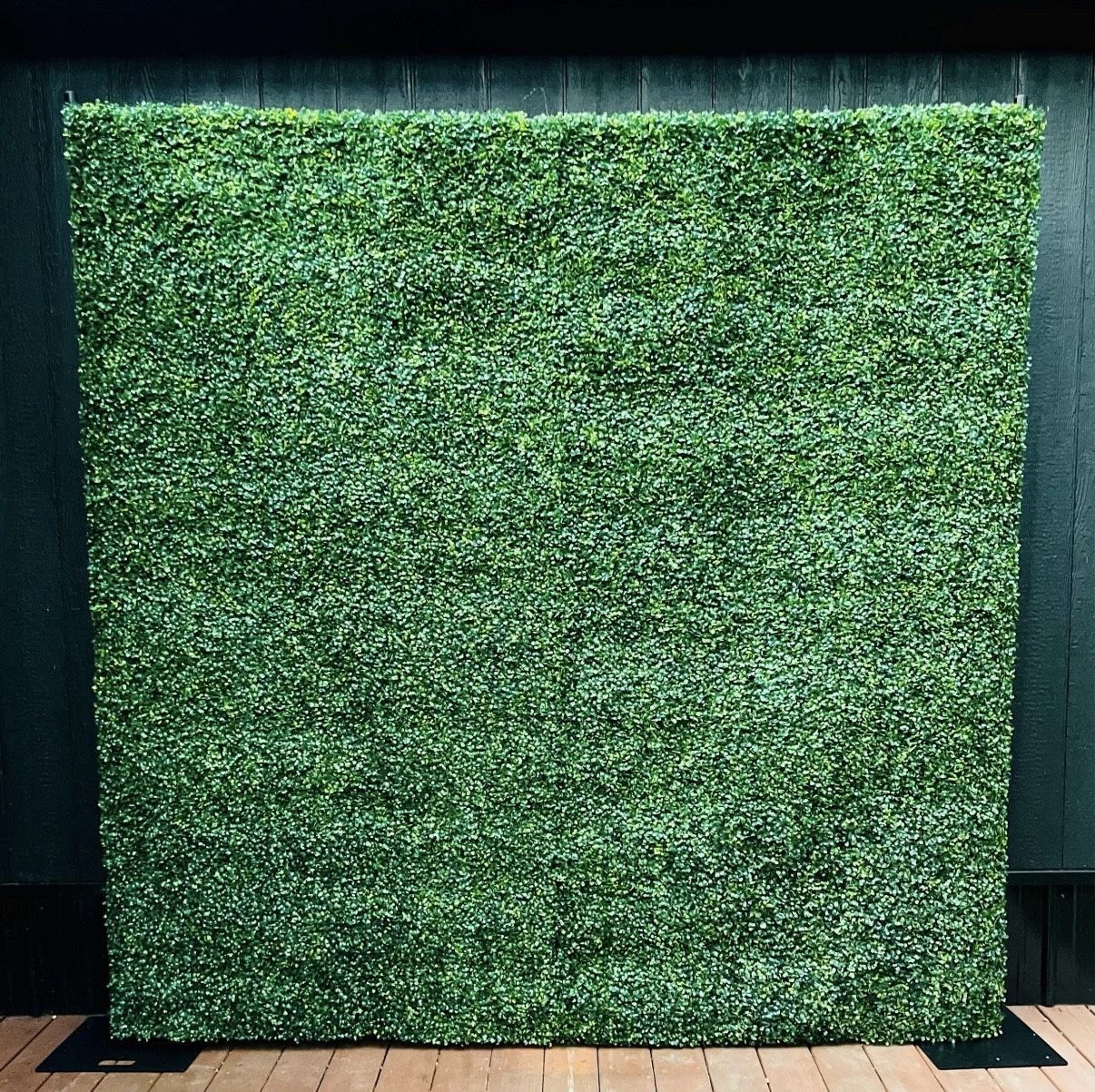 Grass Wall With Stand 