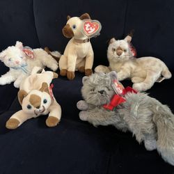 Cat Beanie Babies Set Of 5
