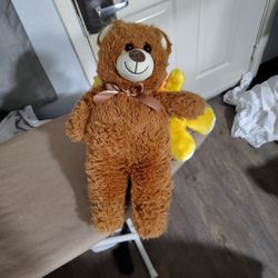 Plush Teddy Bear