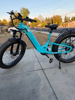 Aleasbike M1 Pro Fat Tire Electric Bike