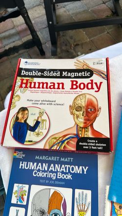 Classroom human body books bundle