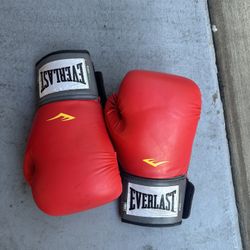 Everlast 14oz Boxing Gloves – Good Condition