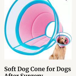 Dog Cone