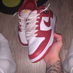Gym Red Nike Dunks