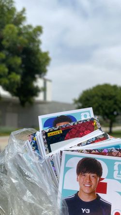 Panini World Cup stickers