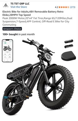 Electric Fat Tire Bike • $350
