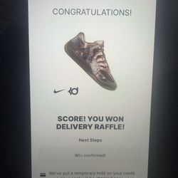 chet holmgren kd 18 real tree pe