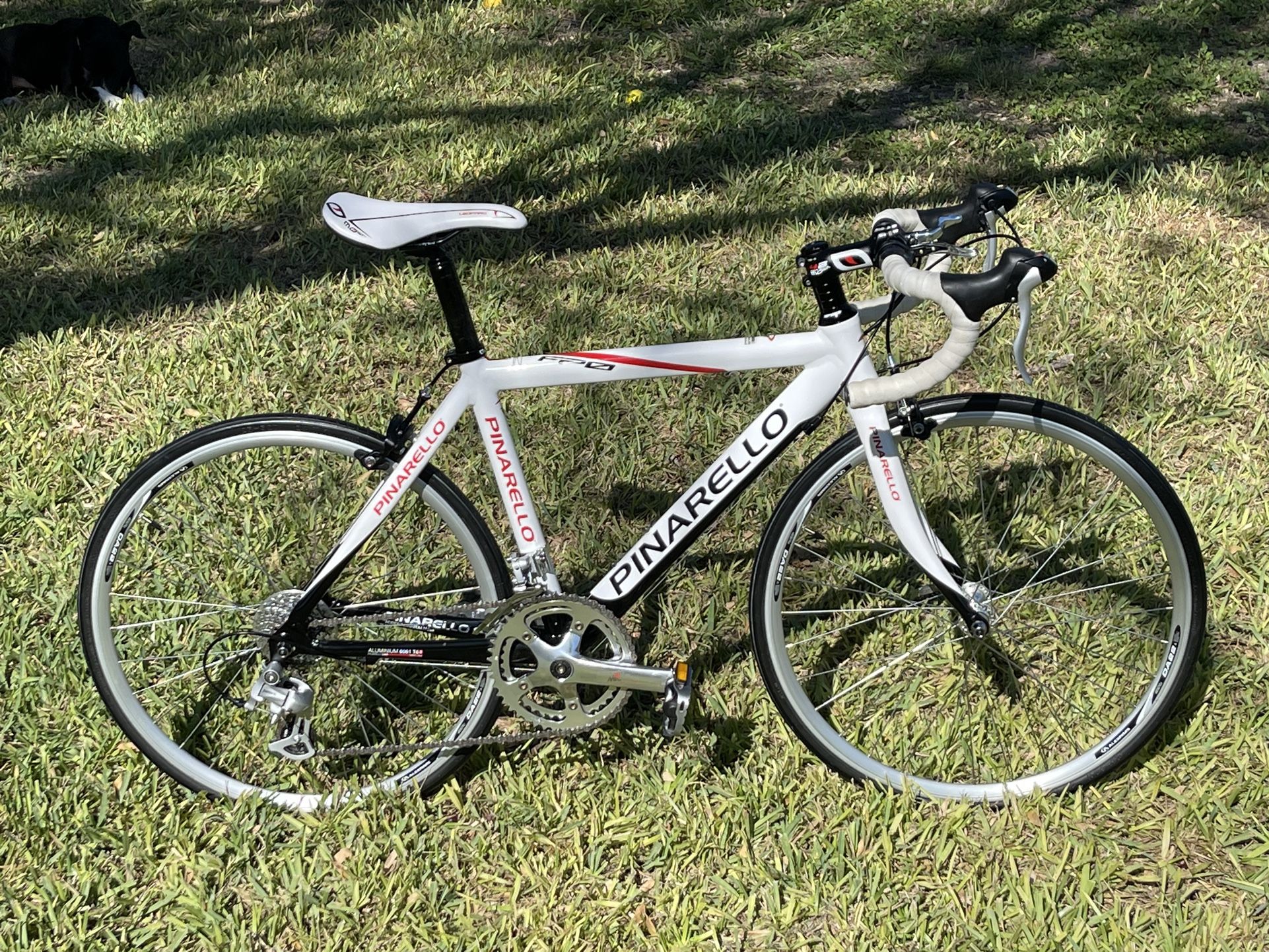 Pinarello FP0