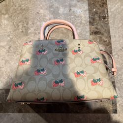 Strawberry Coach Bag 