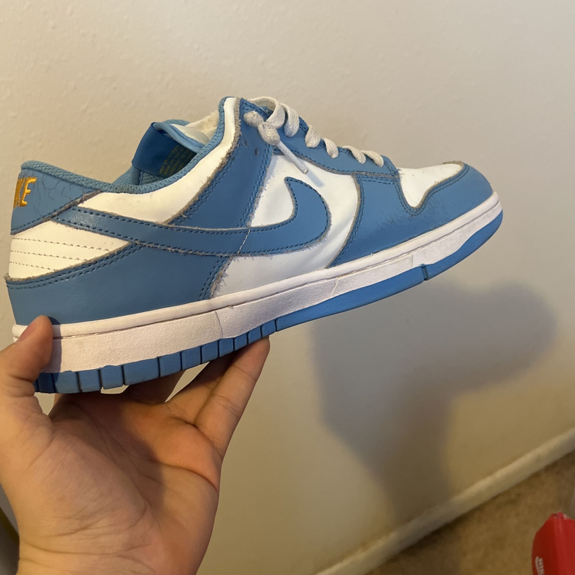 Nike Dunk Low Costal Size 11  Willing To Work Out Price
