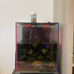 Small/Medium Fish Tank 