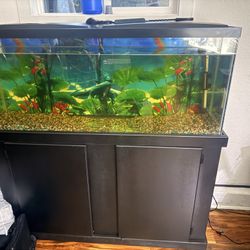 55 Gallons Fish Tank And Stand Not Water Filter /Heater Included !